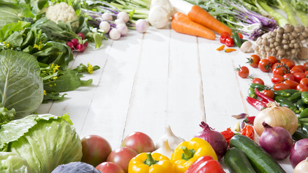 A Guide to Safe Food Handling