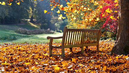 End of Life Care: Bereavement