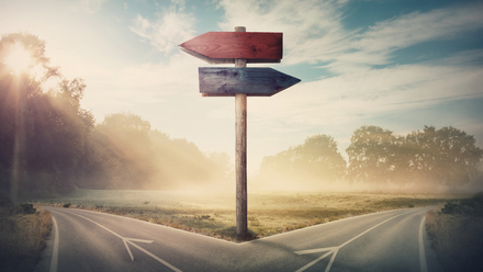 Individual Choice and Decision-Making