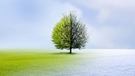 Recognising Changes in a Resident's Condition