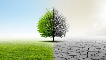 Assessing Changes in a Resident's Condition