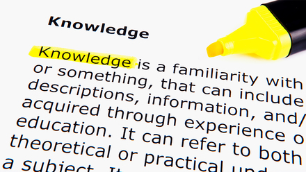 Learning Disabilities: The Principles of Working with Individuals